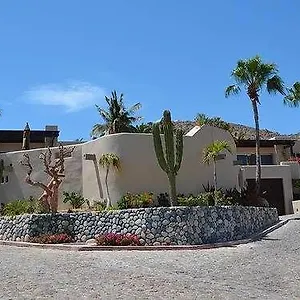 Dorado Cabo San Lucas